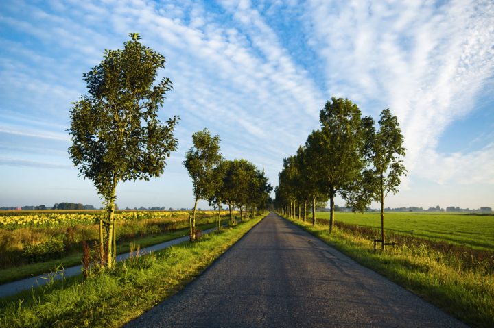 Assemblée générale de la Ligue contre la violence routière